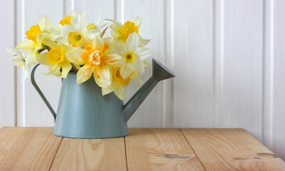 spring composition with yellow daffodils, bouquet in a watering can. © MaskaRad