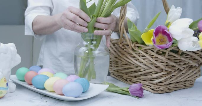 Pan shot of woman's hands arranging tulips into a clear glass vase on a table with colored Easter eggs, tulips in wicker basket, 