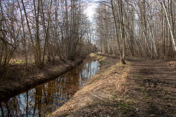 View of the Parthe river in a forest near Leipzig, Beucha and Borsdorf