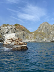 Fototapeta na wymiar rocky coast of the sea and sea ​​lions