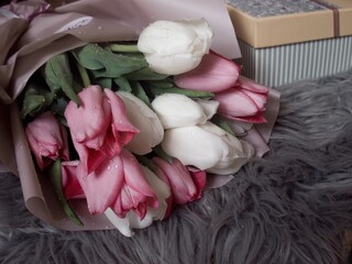 pink and white tulips still life