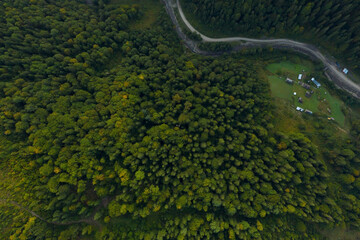 Aerial view of asphalt road surrounded by forest with beautiful green trees