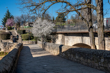 Puente Viejo or Puente de la Cañada Real, an old medieval bridge recently restored.