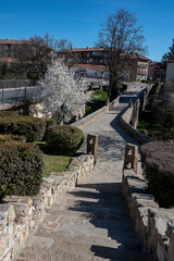 Fototapete bei efototapeten.de bestellen   