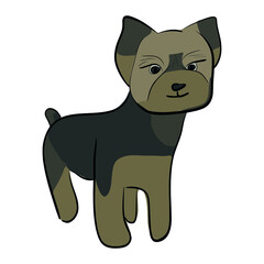 drawing of a dog. terrier, small dog. pet, Pekingese. spitz. pinscher