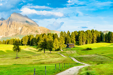 compaccio,alpe di siusi,dolomiti,montagna e prato,vacanze,paesaggio,