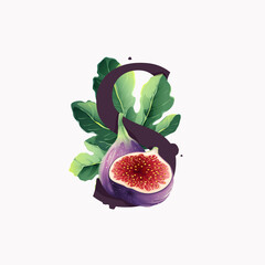 Letter S logo with fresh ripe purple fig fruit and slices with leaf.