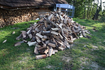 a huge pile of roughly chopped firewood near the hut
