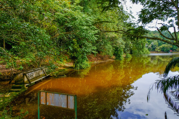 Calm lake view at Taman Eko Rimba Terenggun, Kuala Lipis, Pahang, Malaysia.