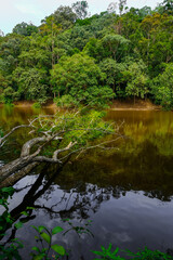 Calm lake view at Taman Eko Rimba Terenggun, Kuala Lipis, Pahang, Malaysia.