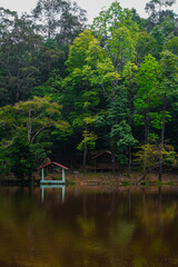 Calm lake view at Taman Eko Rimba Terenggun, Kuala Lipis, Pahang, Malaysia.