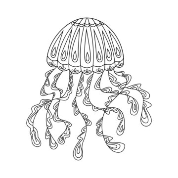 Jellyfish Contour linear illustration for coloring book. Line art design in zentangle style and coloring page. Vector.