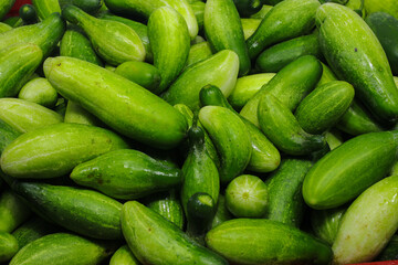 A large group of fresh cucumbers on a red plastic tray container are ready to sell in an Indonesian traditional market. Cucumber background, and agriculture background