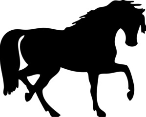 horse silhouette