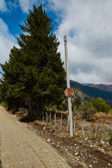 Road in mountains with stone, trees and pines in the Andes Mountains in Patagonia, Argentina. Sky with clouds.