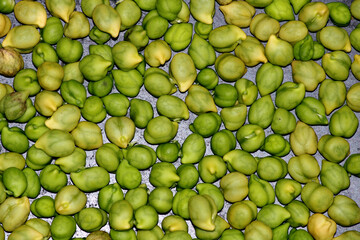 Peeled green chickpea pattern.