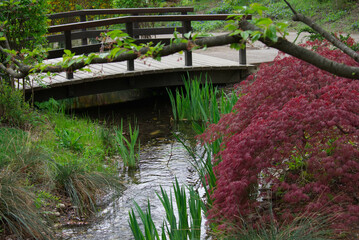 Brücke und Teich im japanischen Garten