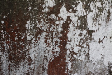 heterogeneous texture of the stone surface in the mountains