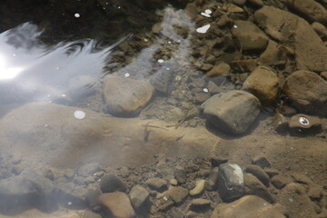 the rocky bottom is visible through the clear water of a mountain stream