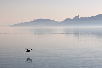 Tranquil landscape of Lake Balaton, with the foggy Tihany in the background and 
the Benedictine...