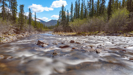 Flowing water running over rocks in summertime with the boreal forest of Canada in the background in wilderness area. No people, no tourists. 