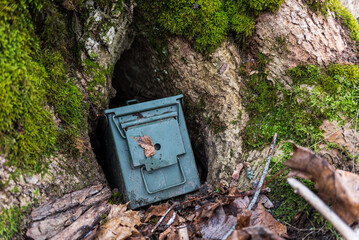 Green geocaching ammo box is hidden in a mossy wooden cavity.