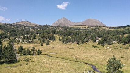 survol d'un lac de montagne et des forets dans les Pyrénées-Orientales, sud de la France, parc naturel des Bouillouses
