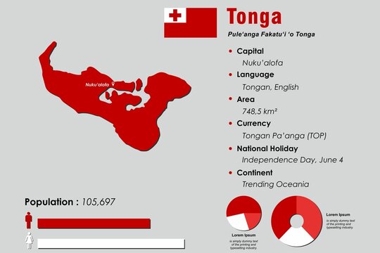 Tonga infographic vector illustration complemented with accurate statistical data. Tonga country information map board and Tonga flat flag
