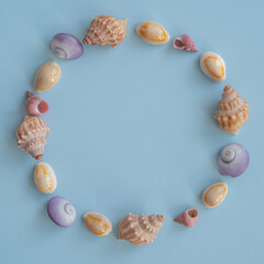 Fototapeta premium Circle of Beautiful Coloured Seashells on a Blue Background with Copy Space