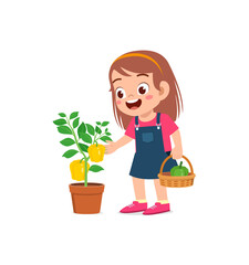 cute little girl harvest paprika in the garden