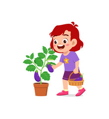 cute little girl harvest eggplant in the garden