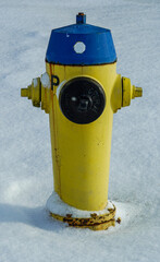 Fire Hydrants in the cold