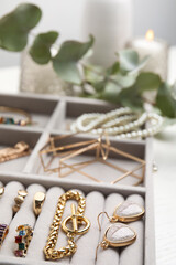 Fototapeta na wymiar Elegant jewelry box with beautiful bijouterie, closeup