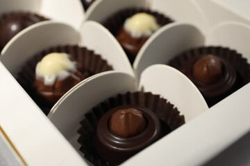 Many delicious chocolate candies in box, closeup