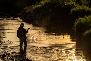Fly Fisherman Casts Line in Shallow River