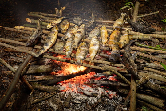Fish barbecue in the amazon jungle. next Sacambu Reserve, Amazon, Peru.