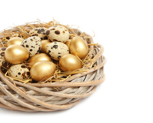 Naklejka na ściany i meble Nest with golden and ordinary quail eggs on white background
