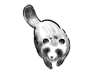 墨絵のたぬき