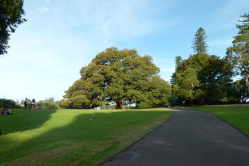 Sydney Botanic Gardens during a sunny day. April 2015