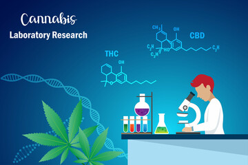 Scientist in laboratory analysing and research on cannabis, marijuana leaves with THC and CBD molecule. Alternative medicine in organic herbal weed for patient health and wellness concept.