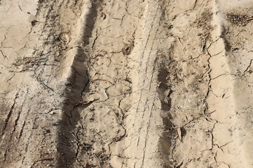 tyre tracks in dried mud dirt road