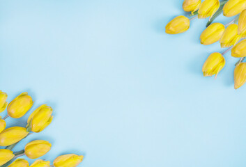 Yellow Tulip Bouquet on Blue Background, copy space, flat lay 