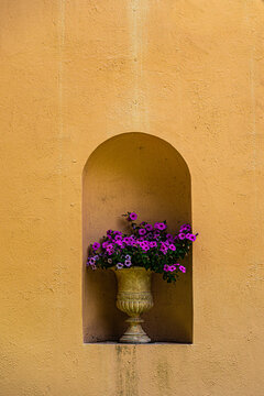 Wall Flowers