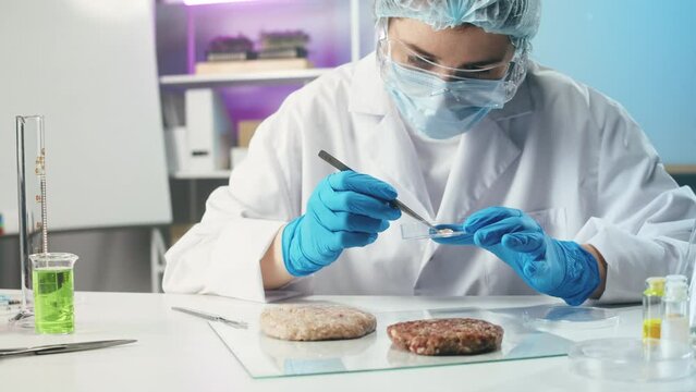 Medical scientist inspecting minced vegan meat, wearing protective unform, working in laboratory. Food research, genetic Modifications of Product. Microbiologist analyzing lab-grown pieces of meat.