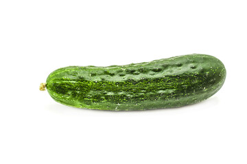 Ripe cucumber with pimples on a white background