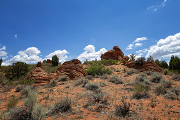 Rock Formations in Coyote Buttes, Utah