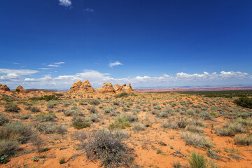 Rock Formations in Coyote Buttes, Utah