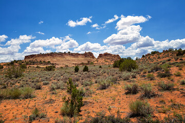 Fototapeta na wymiar Rock Formations in Coyote Buttes, Utah