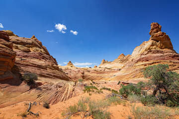Fototapeta premium Rock Formations in Coyote Buttes, Utah