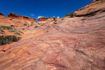 Rock Formations in Coyote Buttes, Utah